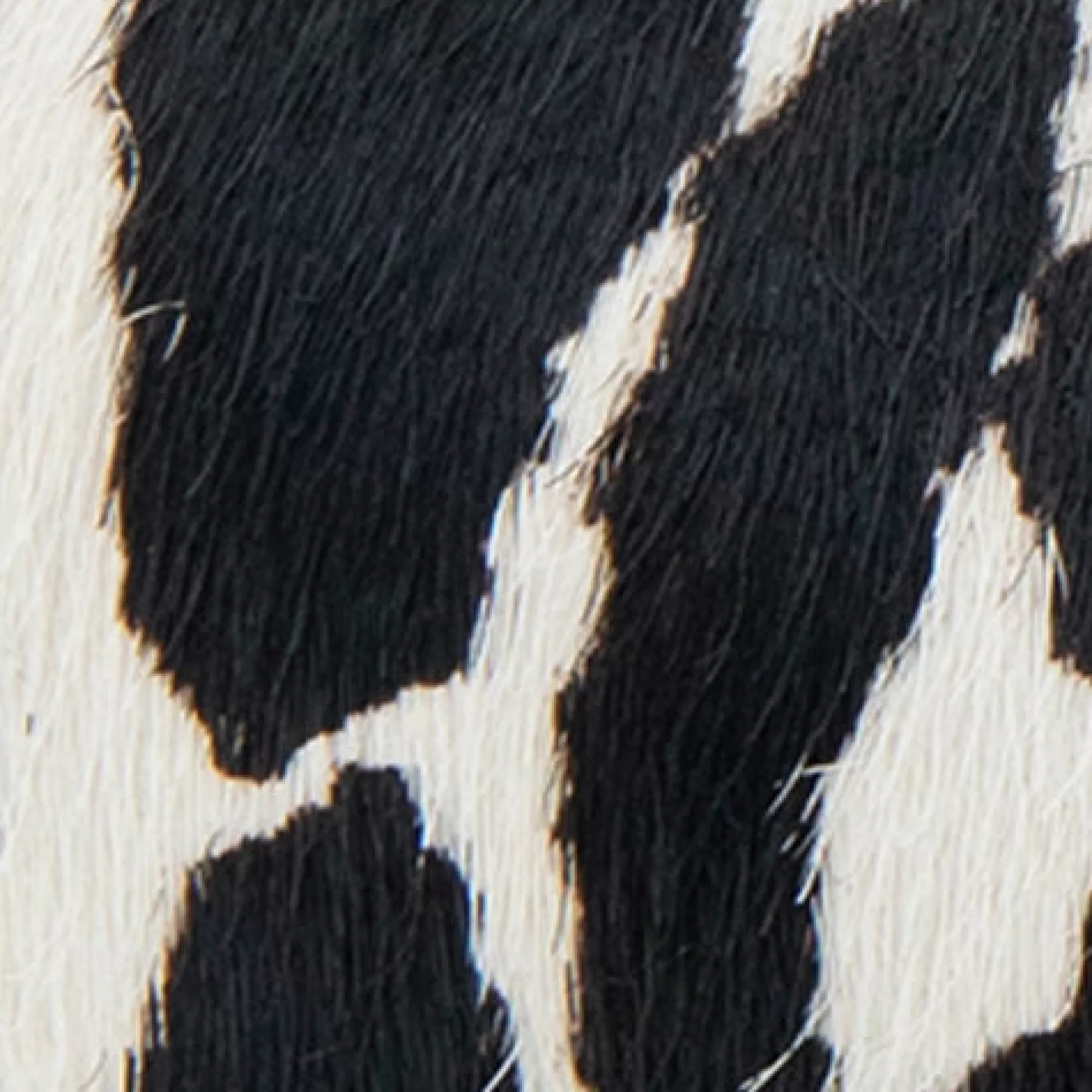 Aerosoles Clogs & Mules | Pumps*Comfortable Women's Mid Heel Pump in Zebra Print Calf Hair