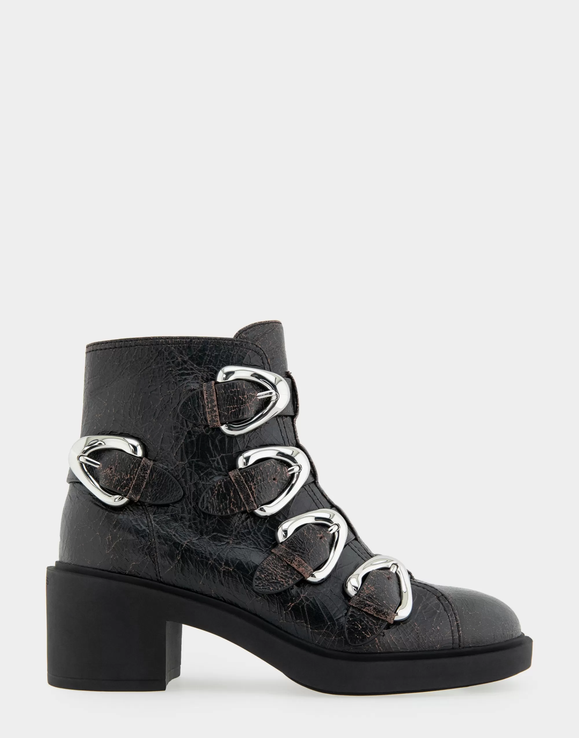 Aerosoles Heeled Boots | Ankle Boots*Comfortable Women's Multi Buckle Biker Bootie in Black Crackled Leather