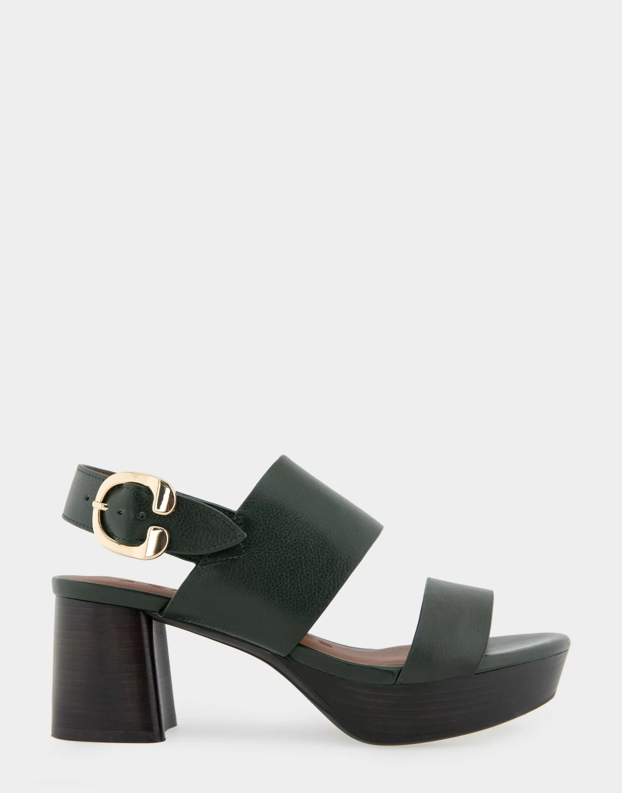 Aerosoles Platforms | Platforms*Comfortable Women's Platform Sandal in Fir Green Leather Leather