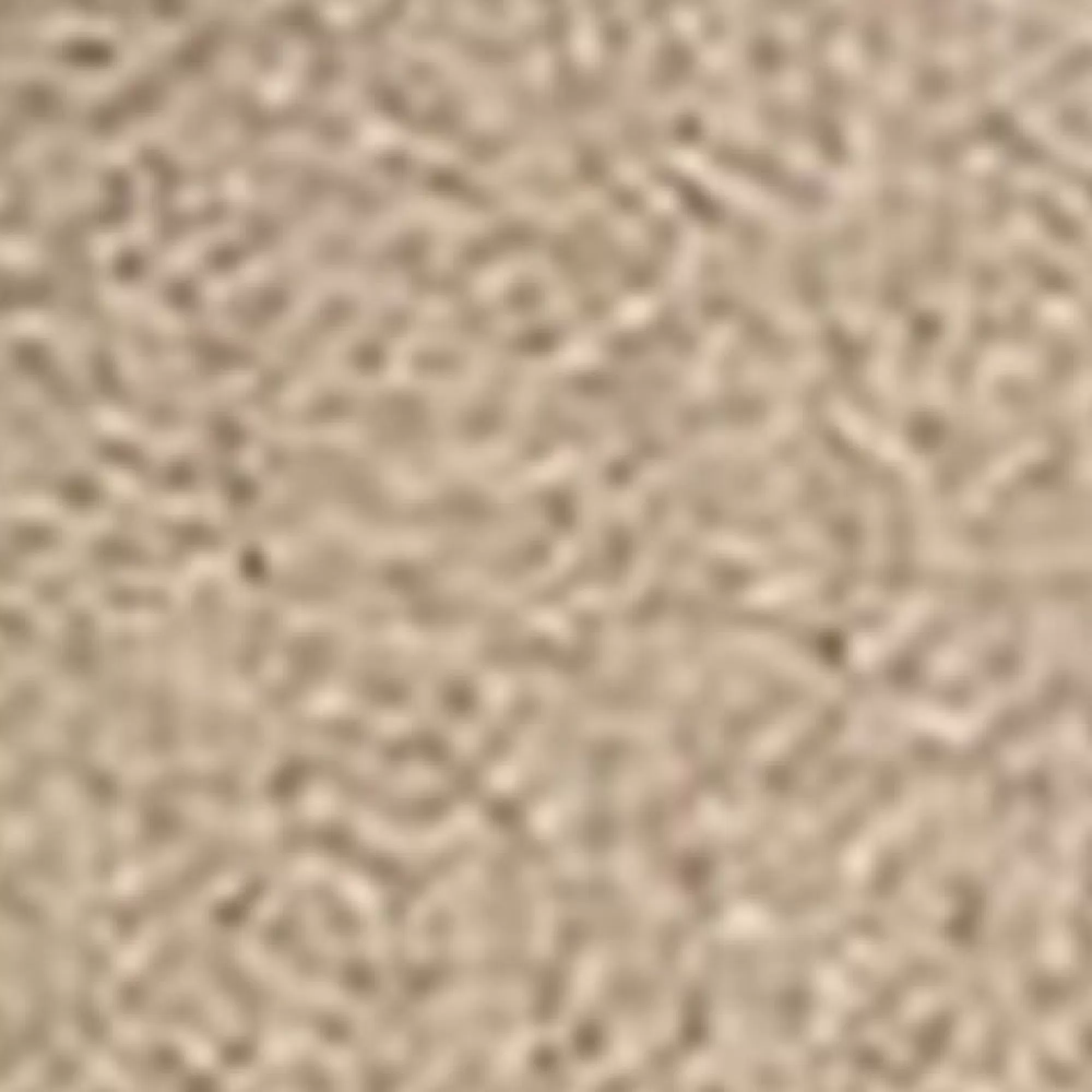 Aerosoles Platforms | Platforms*Comfortable Women's Strappy Molded Footbed Platform Sandal in Pale Khaki Suede