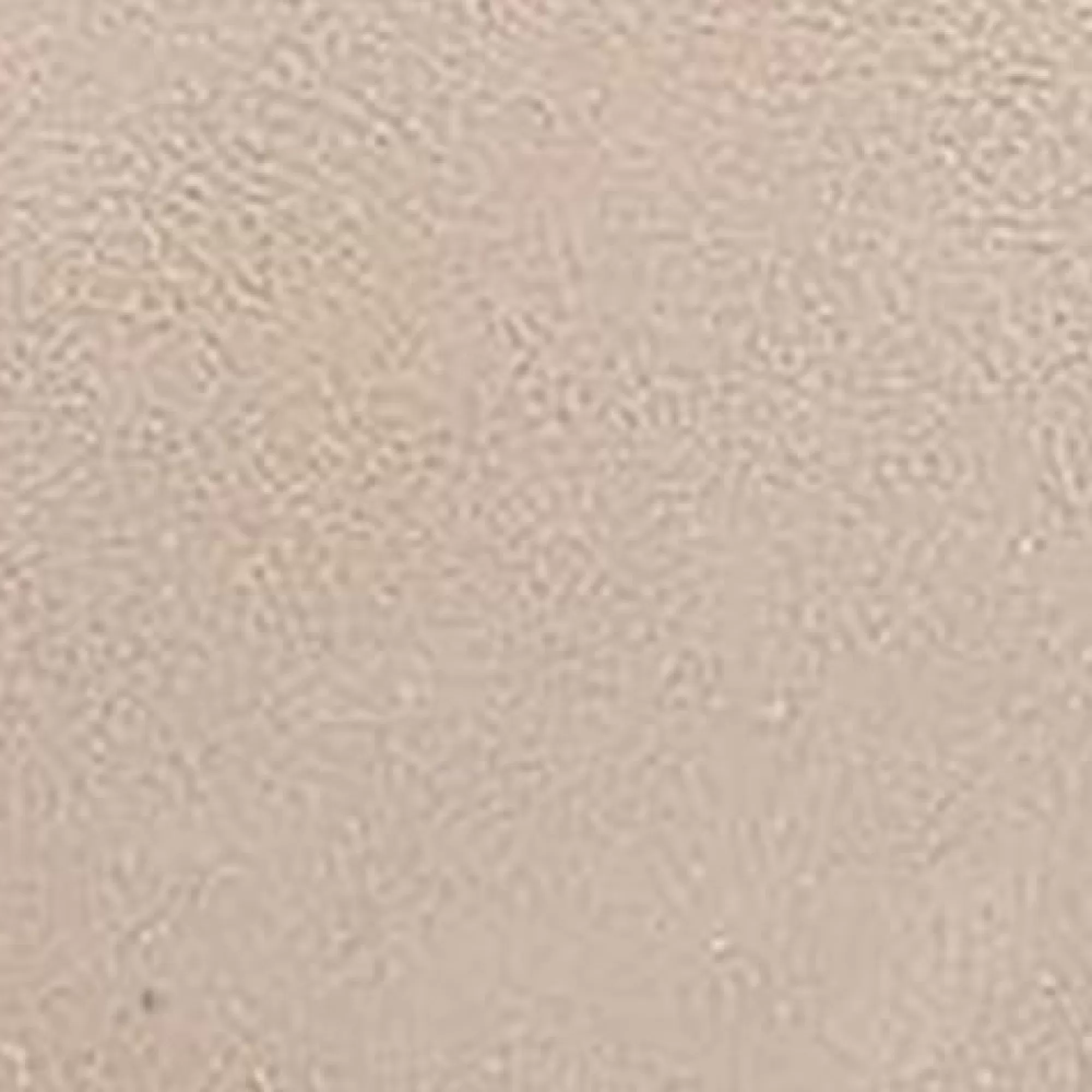 Aerosoles Wedges*Comfortable Women's Thong Mini Wedge Sandal in Pale Khaki Suede