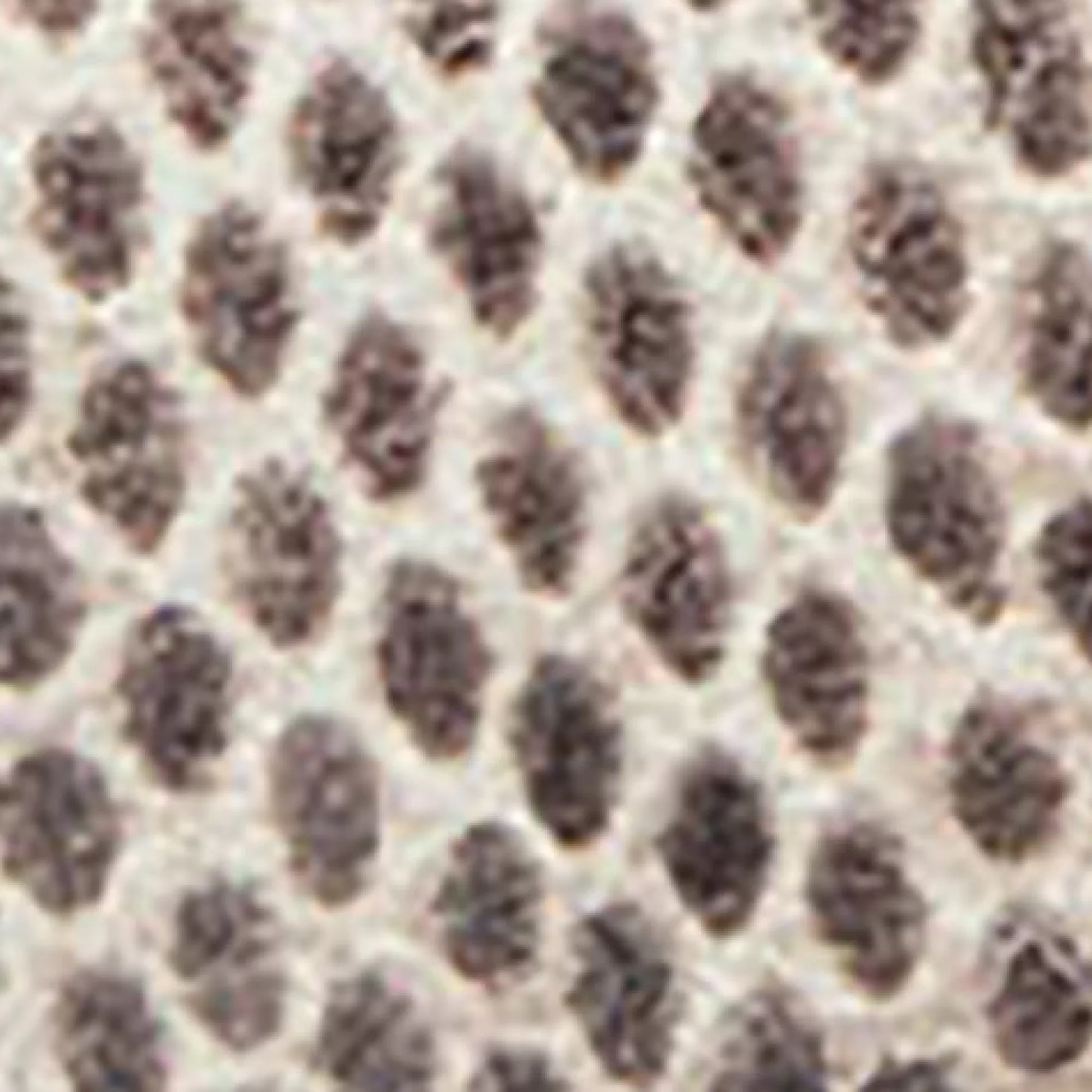 Aerosoles Dress | Wedges*Comfortable Women's Wedge Thong Sandal in Roccia Snake Print Leather